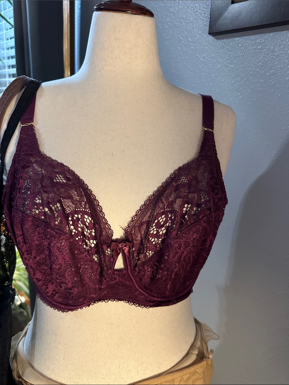 Silhouette Lace Underwire Bra in Deep Burgundy